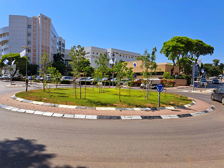 שתילת עצים בסביבת בית החולים